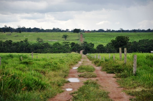 Transparência de Órgãos Fundiários Estaduais na Amazônia Legal