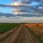 Replay: Mudanças no Georreferenciamento de Imóveis Rurais pelo Provimento 195