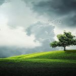 Governo federal amplia prazo para Georreferenciamento obrigatório até 2029